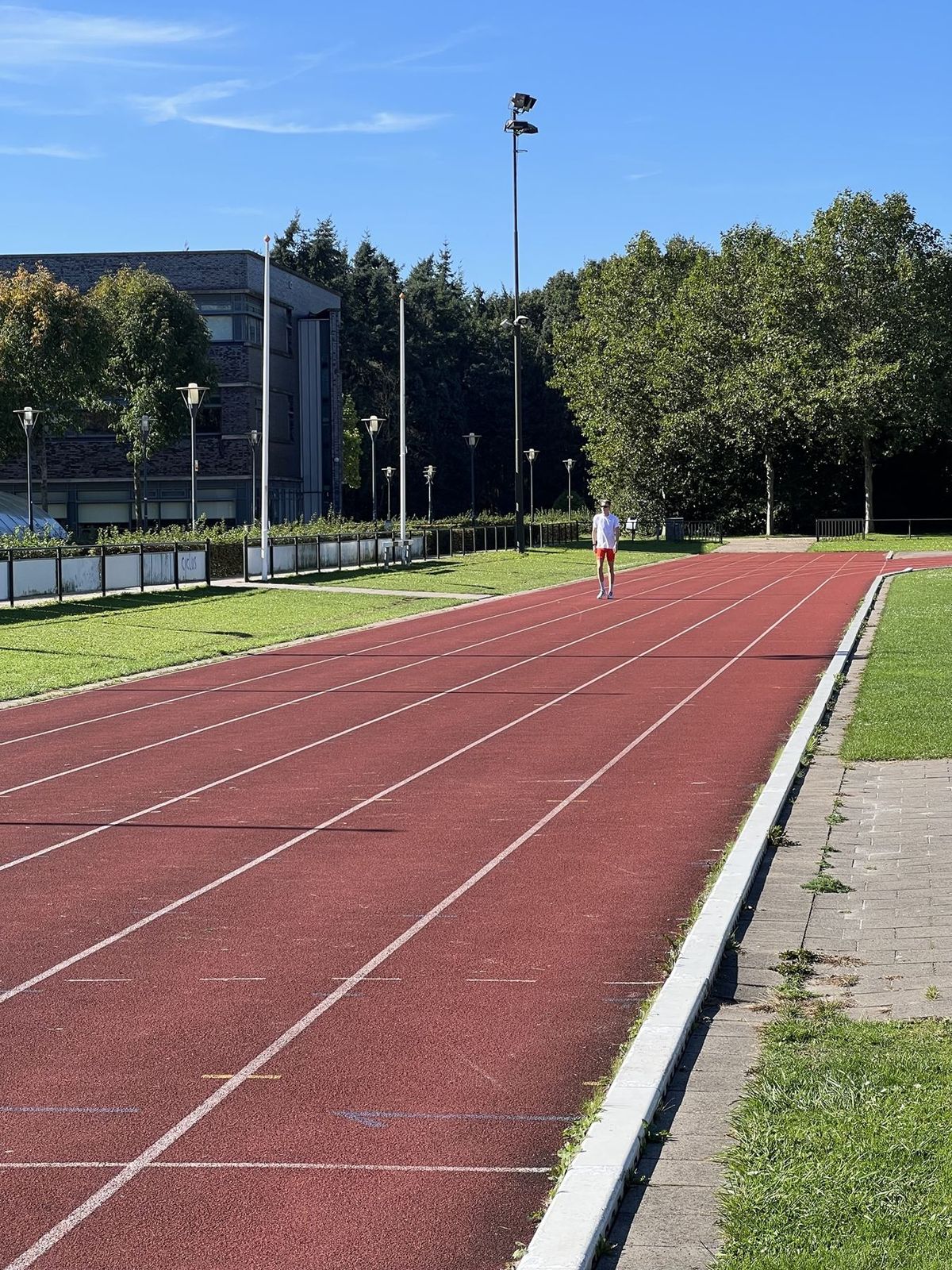 Athletics track between the trees